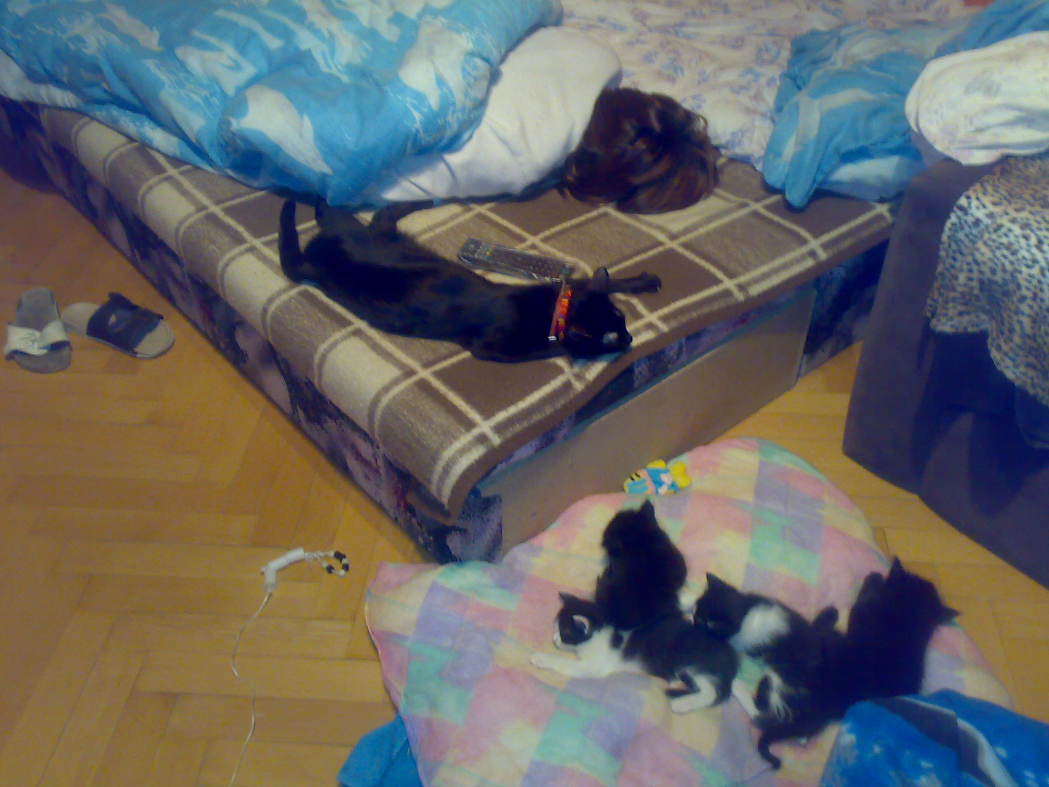 pandi-es-gabika-s-a-cicok-pihenek-09042009568